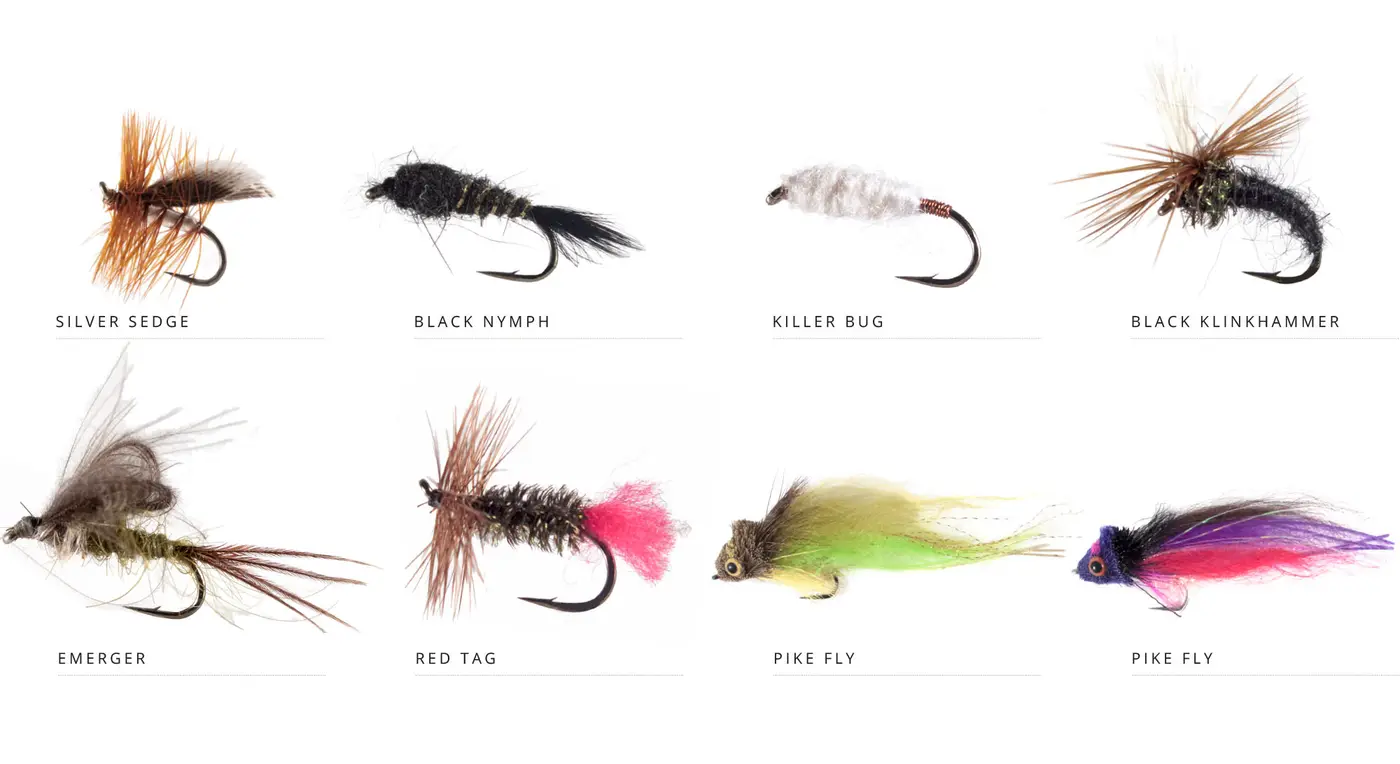 flies-Yearly-Cycle_2000-Winter