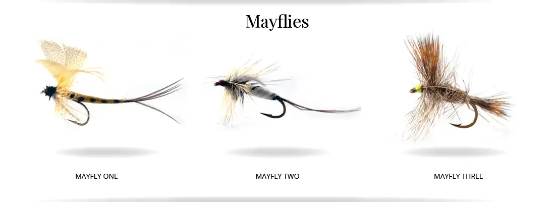 fliesx3_1100x400_2