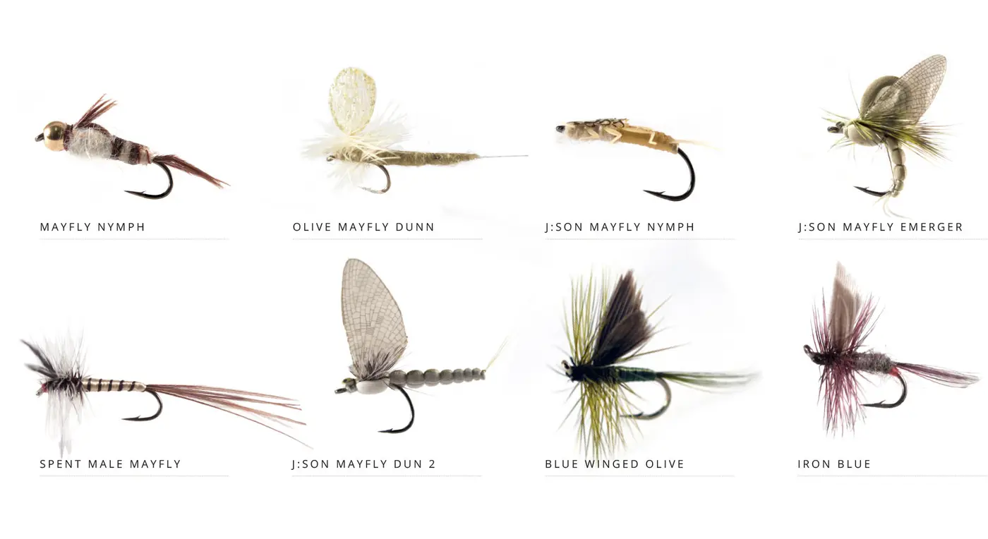 flies-Yearly-Cycle_2000-MAY