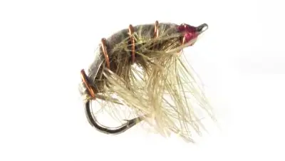 flies_6