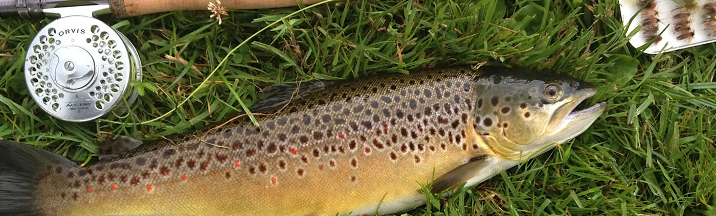 &nbsp;