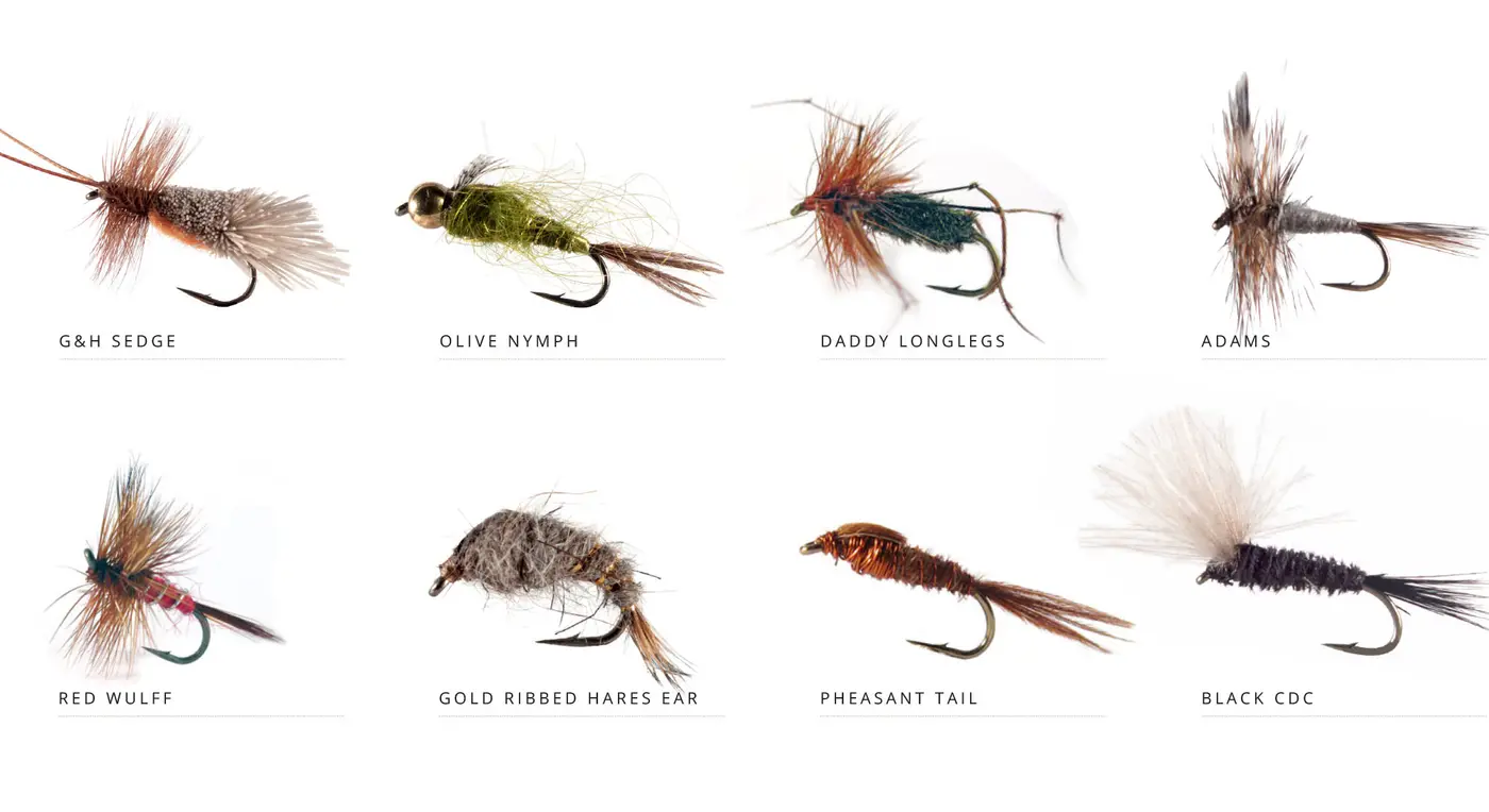flies-Yearly-Cycle_2000-October