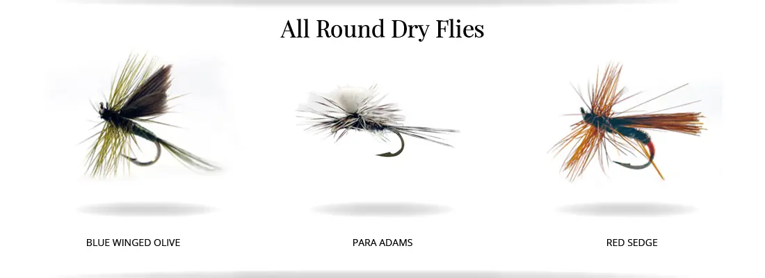 fliesx3_1100x400_4