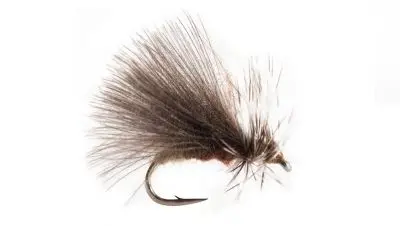 flies_5