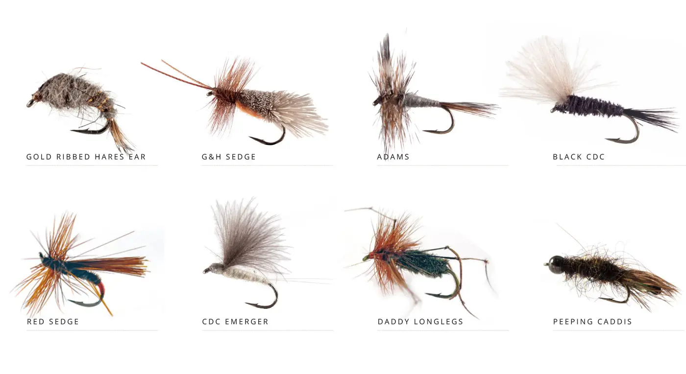 flies-Yearly-Cycle_2000-September