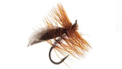 flies_4
