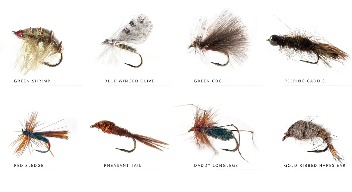 flies-Yearly-Cycle_2000-July