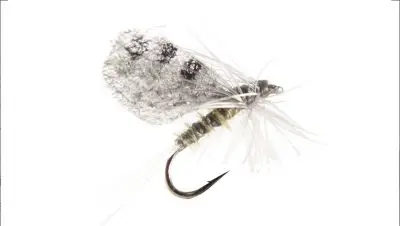 flies_7