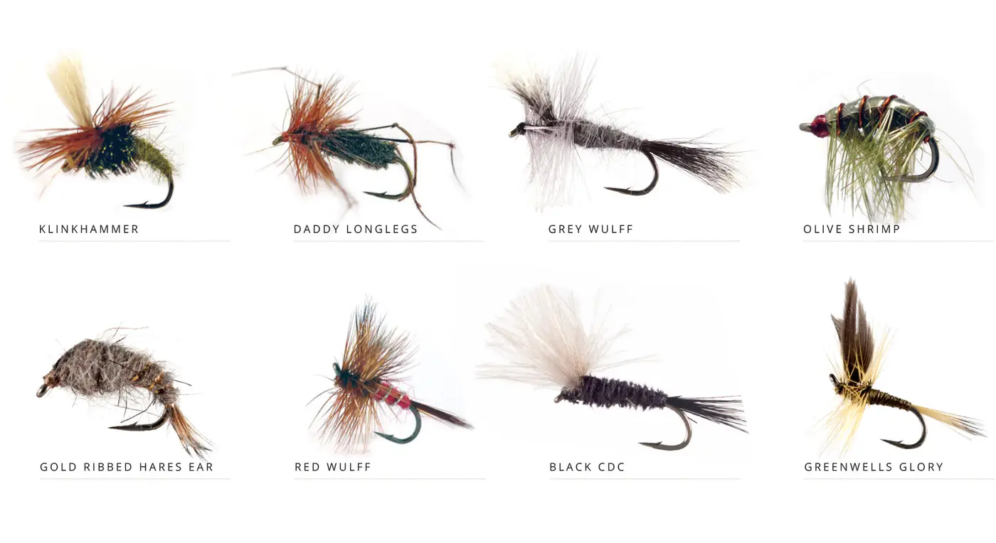 flies-Yearly-Cycle_2000-Allrounders
