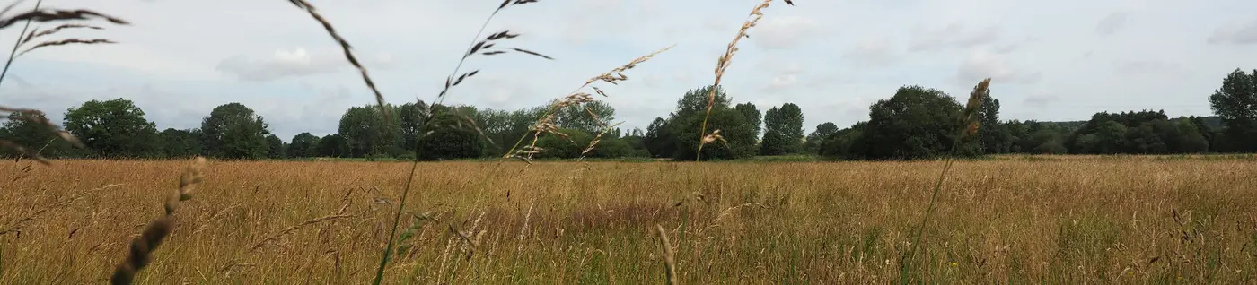 &nbsp;