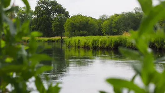 Content_Image_11 Content_Image_11