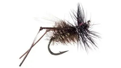 flies_1