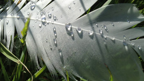 Content_Image_5