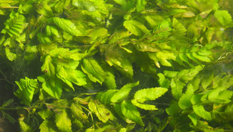 Content_Image_6