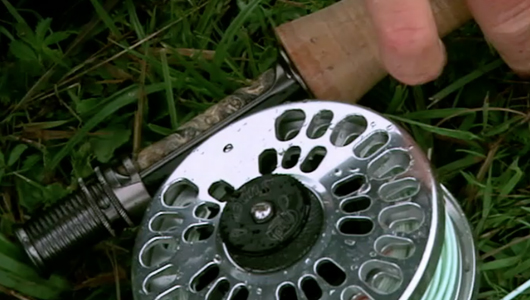 Video_Shot_Content_Image_19