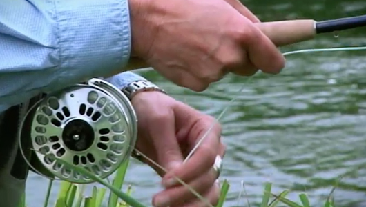 Video_Shot_Content_Image_3